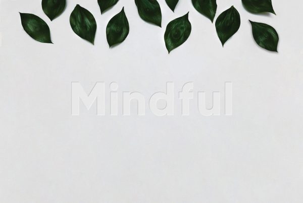 Mindful header corporate identity logo design